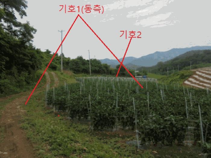 충북 단양군 어상천면 석교리 468-1 전 사진 4