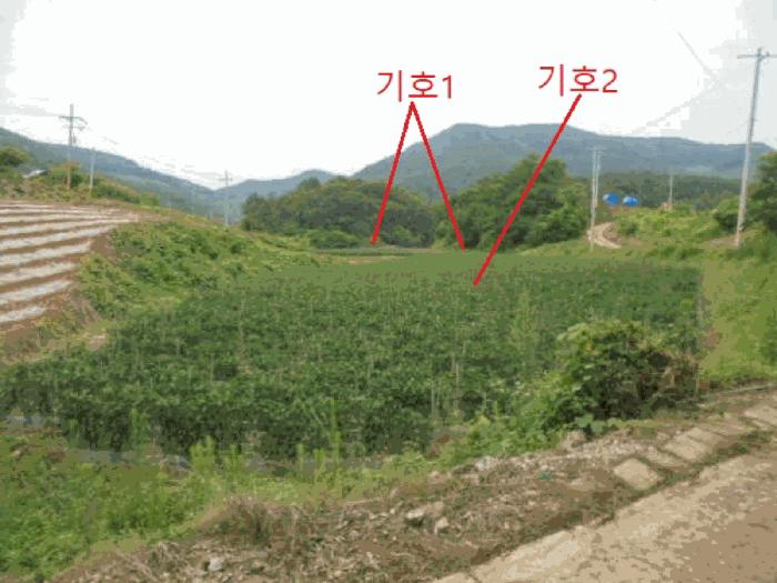 충북 단양군 어상천면 석교리 468-1 전 사진 5