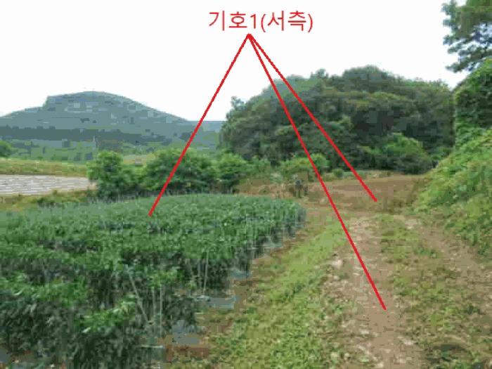 충북 단양군 어상천면 석교리 468-1 전 사진 6