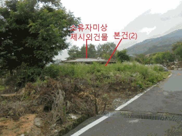충북 제천시 봉양읍 옥전리 437 답 사진 2