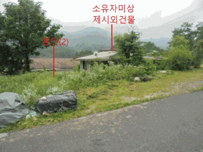 충북 제천시 봉양읍 옥전리 437 답 사진 4