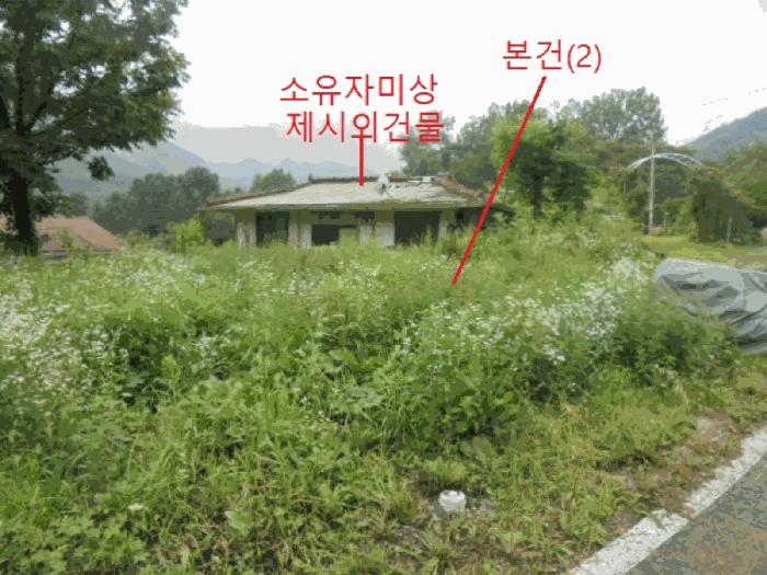 충북 제천시 봉양읍 옥전리 437 답 사진 6