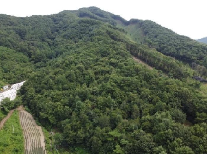 충북 청주시 상당구 낭성면 갈산리 55 전 사진 2