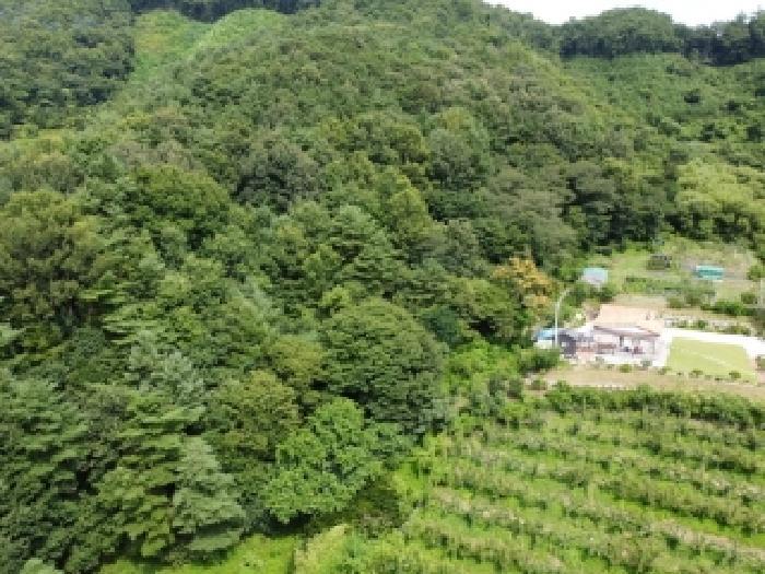 충북 청주시 상당구 낭성면 갈산리 55 전 사진 6