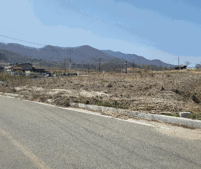 충북 음성군 음성읍 용산리 621 답 사진 2