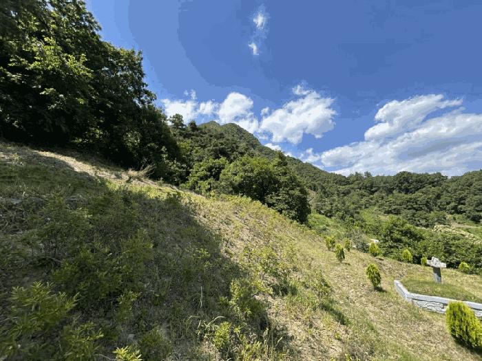 충북 옥천군 안내면 서대리 75-3 전 경매 물건 사진