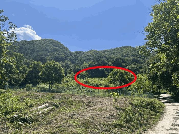 충북 옥천군 안내면 서대리 75-3 전 사진 4