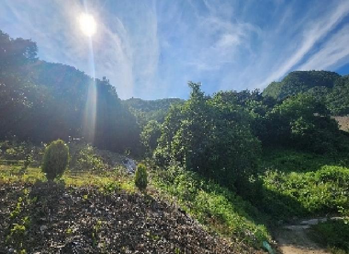 충북 옥천군 안내면 서대리 75-3 전 사진 6