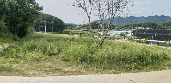 충북 옥천군 동이면 금암리 1099-2 전 경매 물건 사진