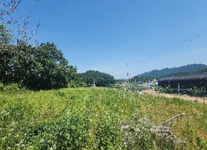 충북 옥천군 동이면 금암리 1099-2 전 사진 5