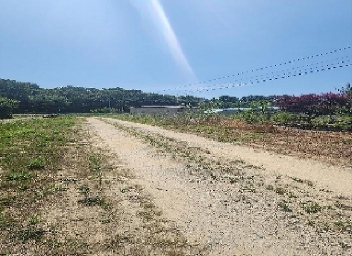 충북 옥천군 동이면 금암리 1099-2 전 사진 6