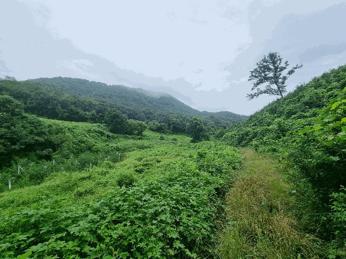 충북 충주시 앙성면 목미리 201 답 경매 물건 사진