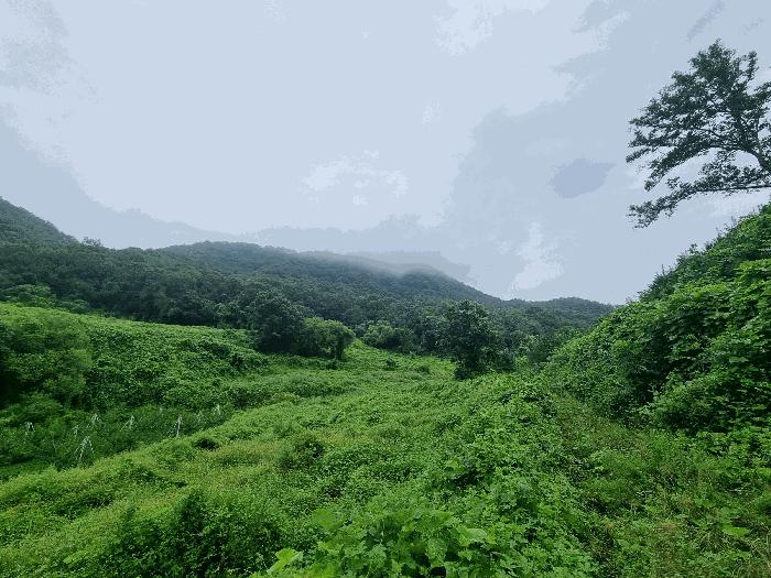 충북 충주시 앙성면 목미리 201 답 사진 3