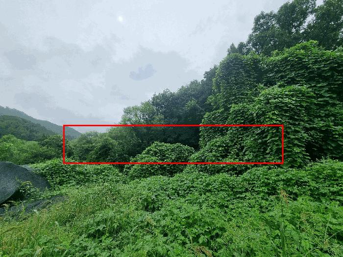 충북 충주시 앙성면 목미리 201 답 사진 6