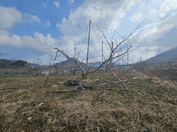 충북 충주시 수안보면 안보리 310 답 사진 3