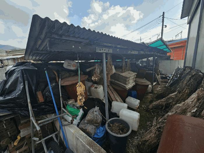 충북 충주시 수안보면 안보리 310 답 사진 5