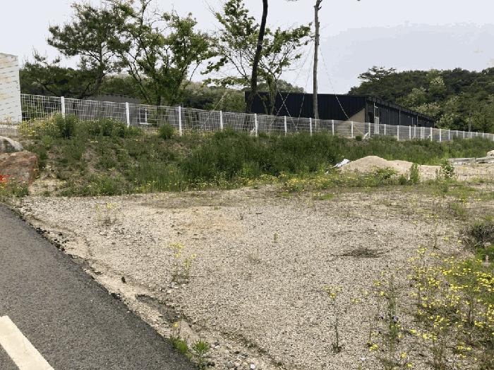 충북 제천시 왕암동 86-1 임야 경매 물건 사진