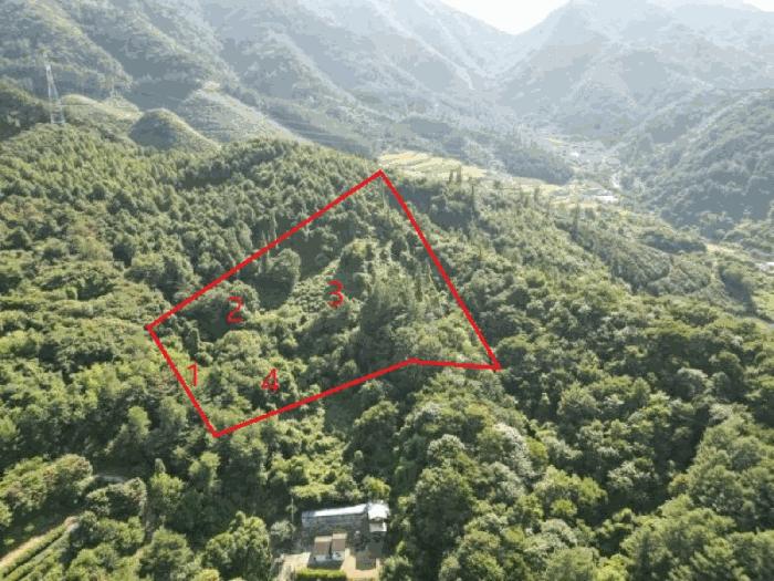 충북 단양군 적성면 하원곡리 106-2 임야 경매 물건 사진