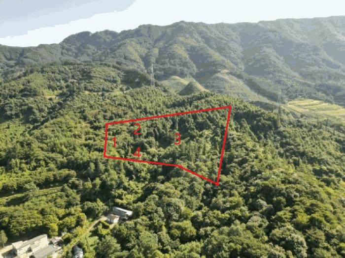 충북 단양군 적성면 하원곡리 106-2 임야 사진 3