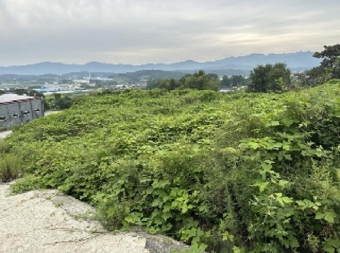 충북 증평군 증평읍 내성리 509 전 경매 물건 사진