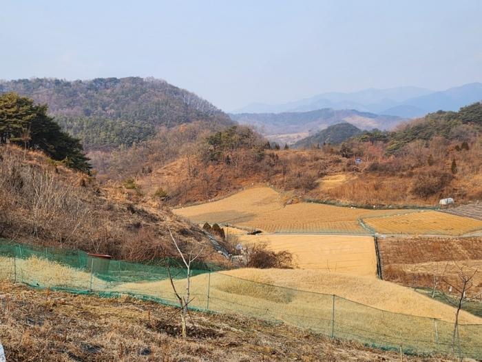 충북 제천시 수산면 구곡리 72-4 임야 경매 물건 사진