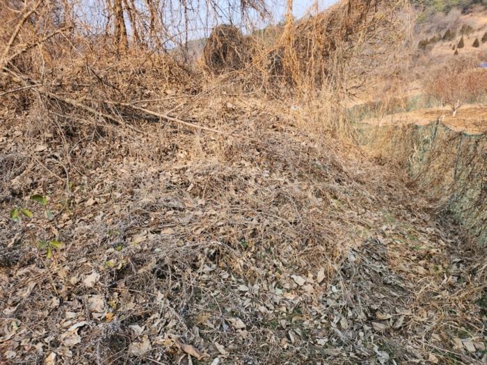 충북 제천시 수산면 구곡리 72-4 임야 사진 2