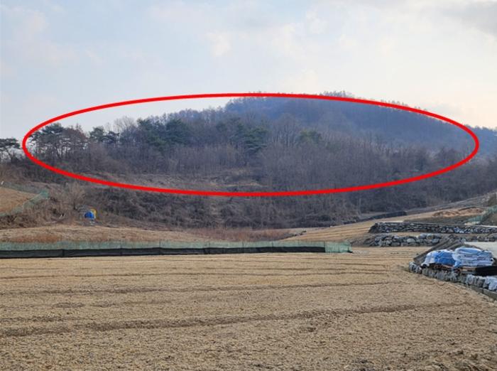충북 제천시 수산면 구곡리 72-4 임야 사진 4