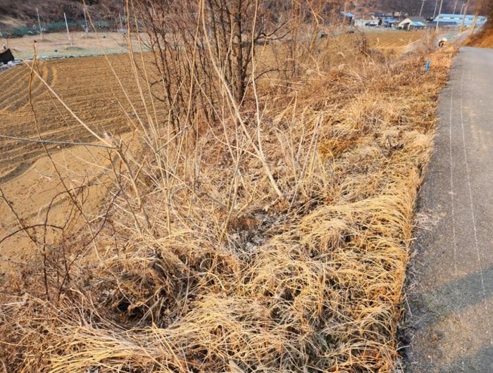 충북 제천시 수산면 구곡리 72-4 임야 사진 5