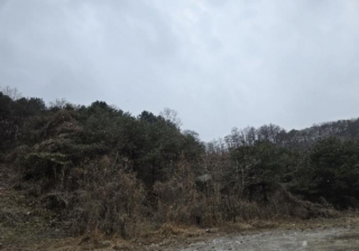 충북 충주시 대소원면 대소리 72-13 공장 사진 6