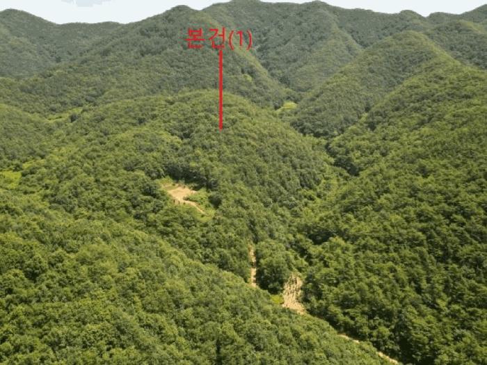 충북 단양군 어상천면 심곡리 산12 임야 경매 물건 사진