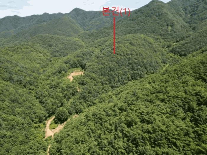 충북 단양군 어상천면 심곡리 산12 임야 사진 2