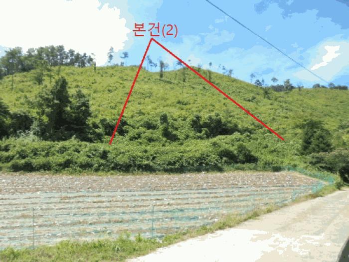 충북 단양군 어상천면 심곡리 산12 임야 사진 3
