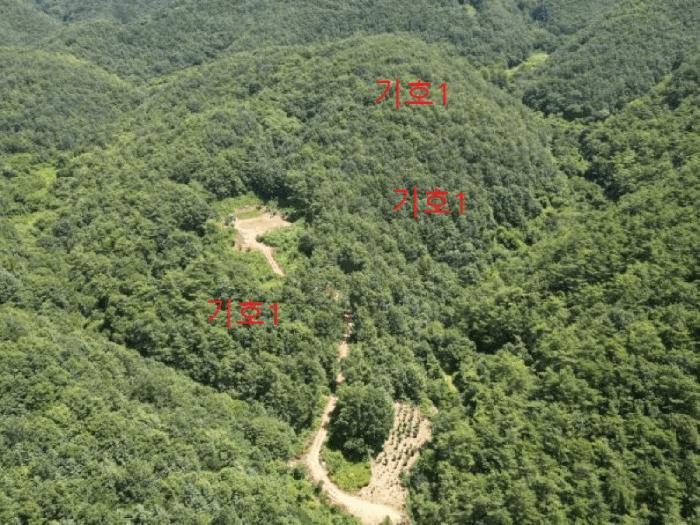 충북 단양군 어상천면 심곡리 산12 임야 사진 4