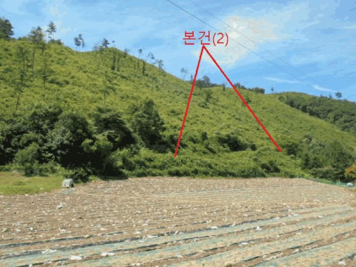 충북 단양군 어상천면 심곡리 산12 임야 사진 5