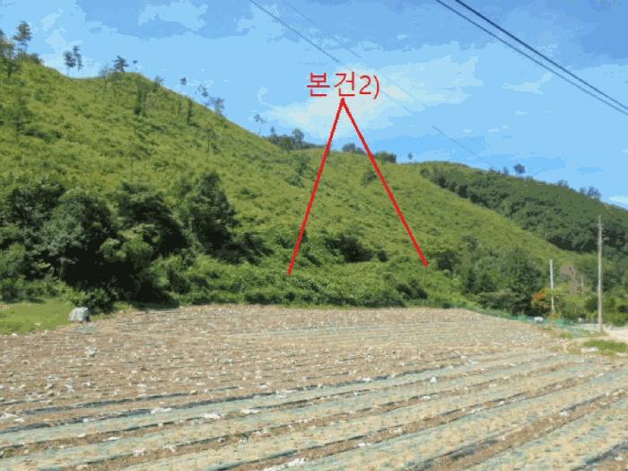 충북 단양군 어상천면 심곡리 산12 임야 사진 6