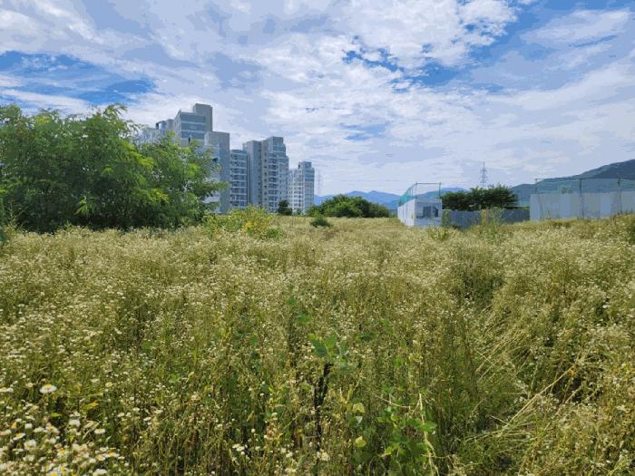충북 제천시 왕암동 89-28 전 사진 4