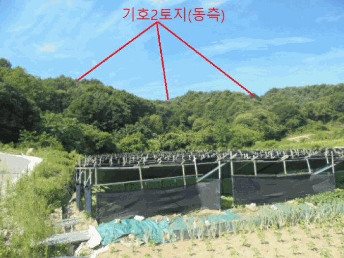충북 제천시 백운면 원월리 351 주택 경매 물건 사진