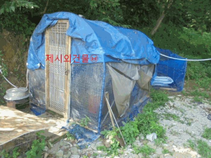 충북 제천시 백운면 원월리 351 주택 사진 5