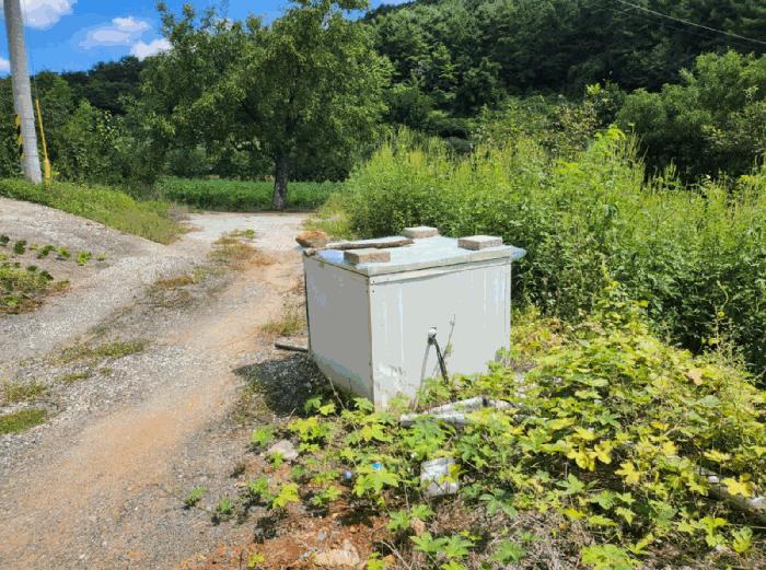 충북 단양군 대강면 두음리 450 전 사진 6