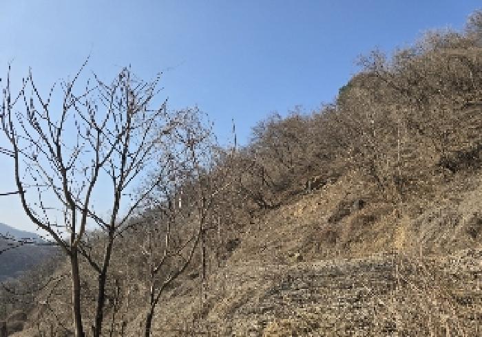 충북 충주시 살미면 향산리 564 전 경매 물건 사진