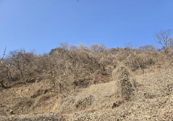 충북 충주시 살미면 향산리 564 전 사진 2