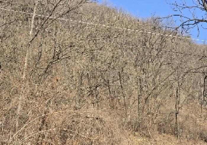 충북 충주시 살미면 향산리 564 전 사진 4