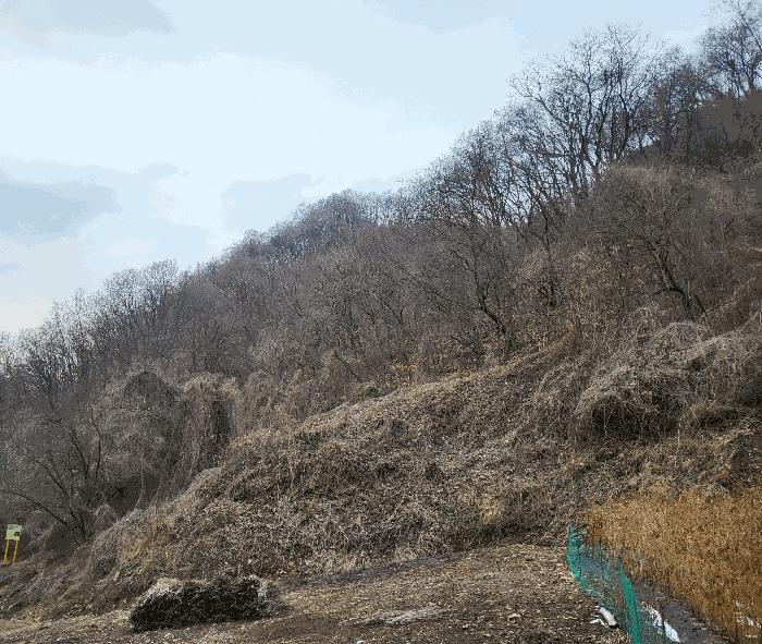 충북 충주시 살미면 향산리 564 전 사진 5