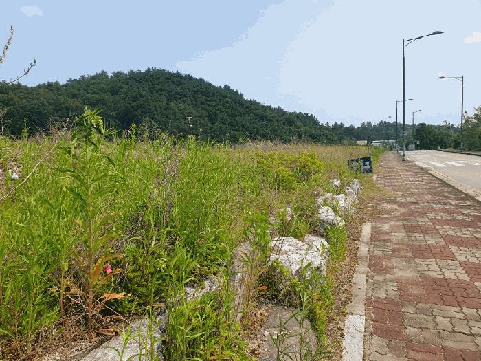 충북 충주시 주덕읍 화곡리 1580-36 대지 사진 2