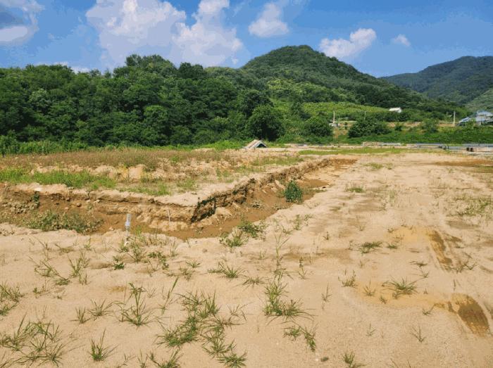 충북 충주시 엄정면 추평리 302-2 전 사진 6
