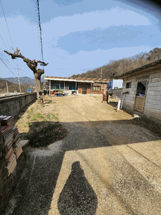 충북 음성군 감곡면 사곡리 224-1 답 사진 2