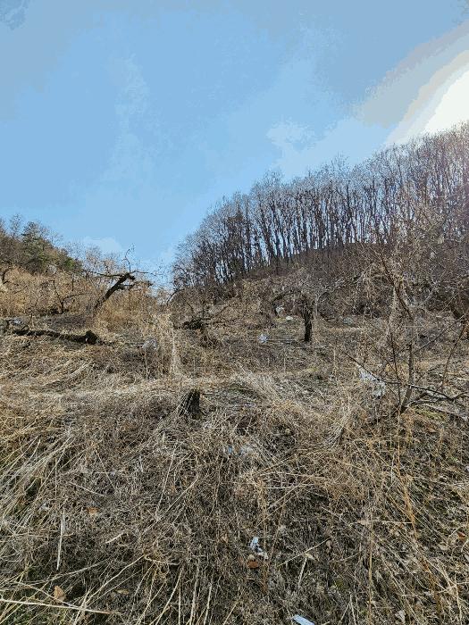 충북 음성군 감곡면 사곡리 224-1 답 사진 5