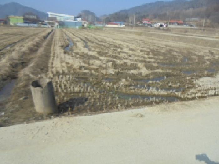충북 음성군 원남면 보룡리 240 답 경매 물건 사진