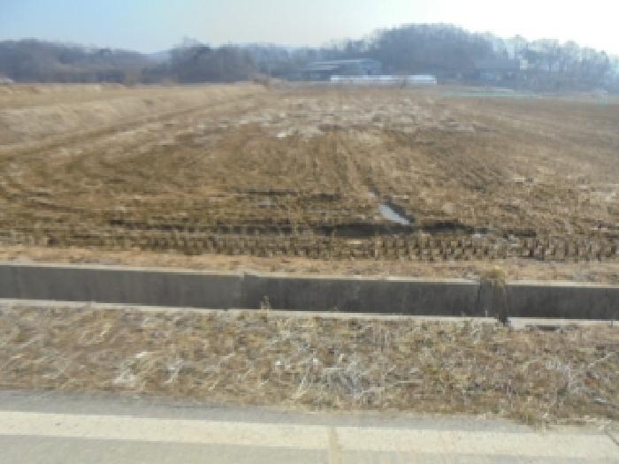 충북 음성군 원남면 보룡리 240 답 사진 2