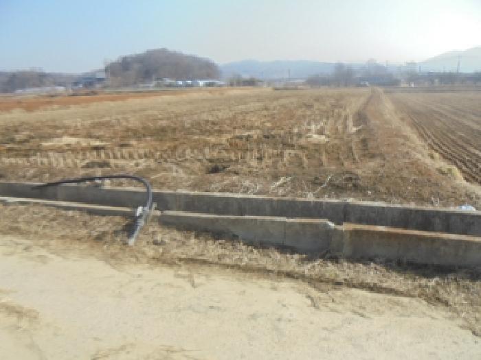 충북 음성군 원남면 보룡리 240 답 사진 3